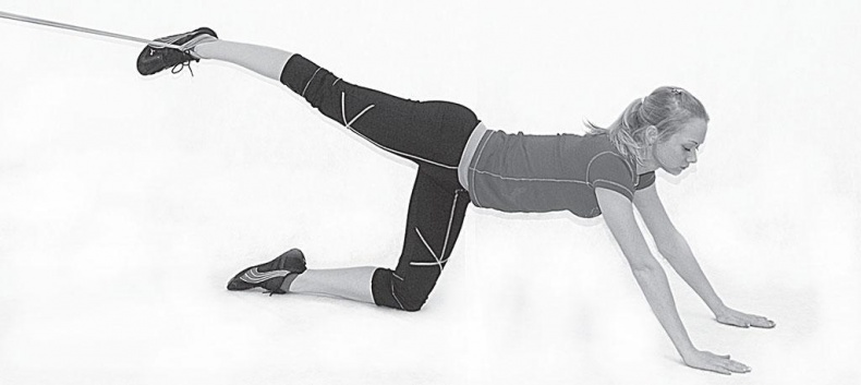 Иллюстрация к книге — Азбука здоровья. Все о позвоночнике и суставах от А до Я [_83.jpg]