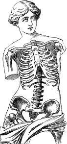 Иллюстрация к книге — Модицина. Encyclopedia Pathologica [_104.jpg]
