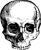 Иллюстрация к книге — Модицина. Encyclopedia Pathologica [_115.jpg]