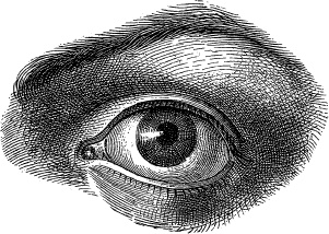 Иллюстрация к книге — Модицина. Encyclopedia Pathologica [_14.jpg]