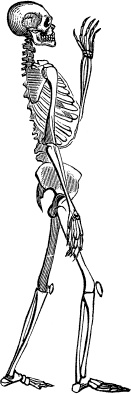 Иллюстрация к книге — Модицина. Encyclopedia Pathologica [_22.jpg]