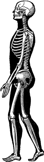 Иллюстрация к книге — Модицина. Encyclopedia Pathologica [_4.jpg]