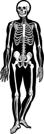 Иллюстрация к книге — Модицина. Encyclopedia Pathologica [_49.jpg]