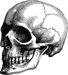 Иллюстрация к книге — Модицина. Encyclopedia Pathologica [_59.jpg]
