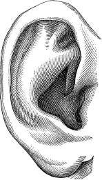 Иллюстрация к книге — Модицина. Encyclopedia Pathologica [_97.jpg]