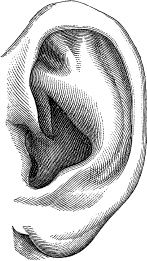 Иллюстрация к книге — Модицина. Encyclopedia Pathologica [_98.jpg]