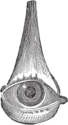 Иллюстрация к книге — Модицина 2. Апология [_10.jpg]