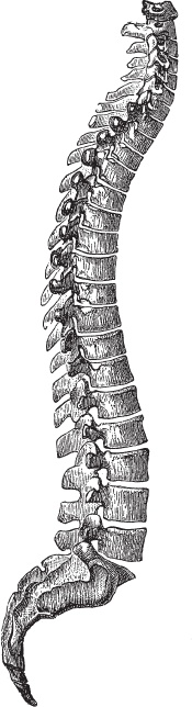Иллюстрация к книге — Модицина 2. Апология [_100.jpg]