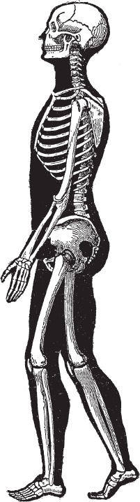 Иллюстрация к книге — Модицина 2. Апология [_105.jpg]