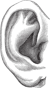 Иллюстрация к книге — Модицина 2. Апология [_112.jpg]