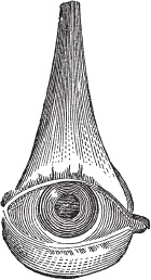 Иллюстрация к книге — Модицина 2. Апология [_113.jpg]