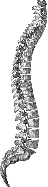 Иллюстрация к книге — Модицина 2. Апология [_114.jpg]