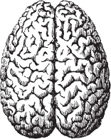 Иллюстрация к книге — Модицина 2. Апология [_12.jpg]