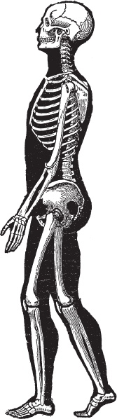 Иллюстрация к книге — Модицина 2. Апология [_22.jpg]