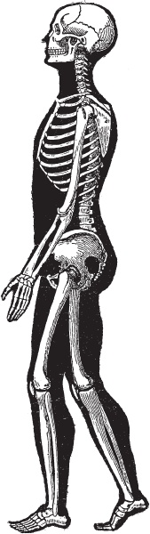 Иллюстрация к книге — Модицина 2. Апология [_26.jpg]