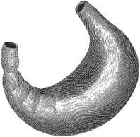 Иллюстрация к книге — Модицина 2. Апология [_27.jpg]