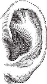 Иллюстрация к книге — Модицина 2. Апология [_30.jpg]