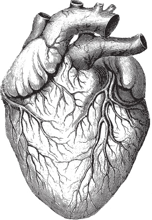 Иллюстрация к книге — Модицина 2. Апология [_36.jpg]