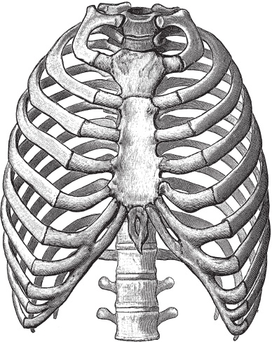 Иллюстрация к книге — Модицина 2. Апология [_56.jpg]