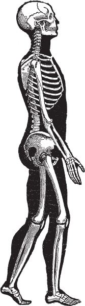 Иллюстрация к книге — Модицина 2. Апология [_59.jpg]