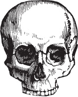 Иллюстрация к книге — Модицина 2. Апология [_62.jpg]