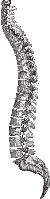 Иллюстрация к книге — Модицина 2. Апология [_67.jpg]