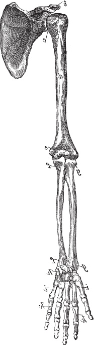 Иллюстрация к книге — Модицина 2. Апология [_71.jpg]