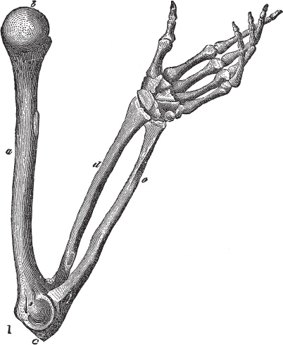 Иллюстрация к книге — Модицина 2. Апология [_72.jpg]