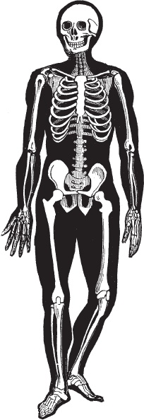 Иллюстрация к книге — Модицина 2. Апология [_75.jpg]