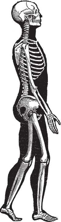 Иллюстрация к книге — Модицина 2. Апология [_91.jpg]