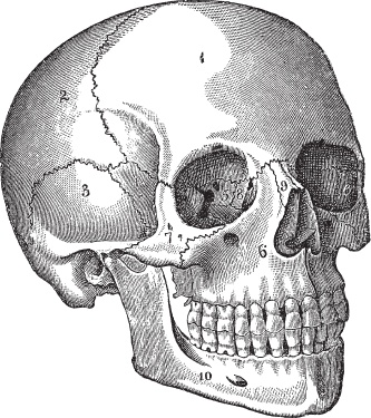 Иллюстрация к книге — Модицина 2. Апология [_93.jpg]