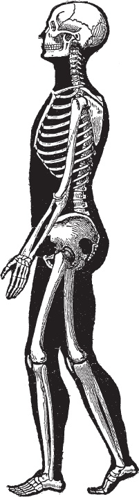 Иллюстрация к книге — Модицина 2. Апология [_94.jpg]