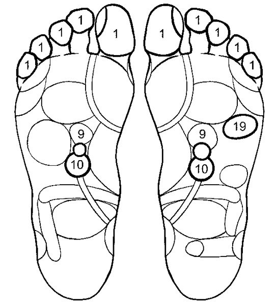 Иллюстрация к книге — Гипертония. Современная энциклопедия [i_008.jpg]