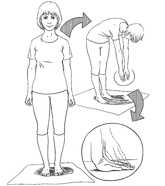 Иллюстрация к книге — Гипертония. Современная энциклопедия [i_009.jpg]