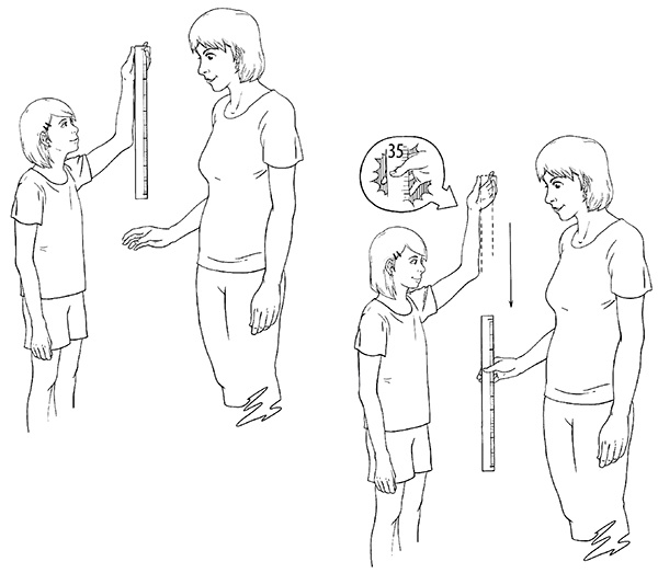 Иллюстрация к книге — Гипертония. Современная энциклопедия [i_012.jpg]