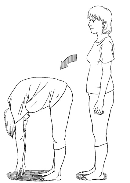 Иллюстрация к книге — Гипертония. Современная энциклопедия [i_022.jpg]