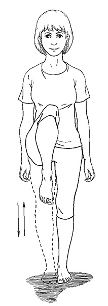 Иллюстрация к книге — Гипертония. Современная энциклопедия [i_026.jpg]