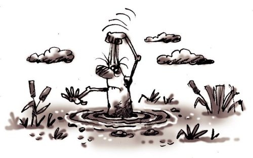 Иллюстрация к книге — Секреты женской биолокации. Эмоциональное введение в Многомерную медицину. Радиэстезия - путь к гармонии и счастью [autogen_ebook_id26.jpg]