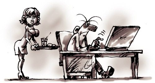 Иллюстрация к книге — Секреты женской биолокации. Эмоциональное введение в Многомерную медицину. Радиэстезия - путь к гармонии и счастью [autogen_ebook_id44.jpg]