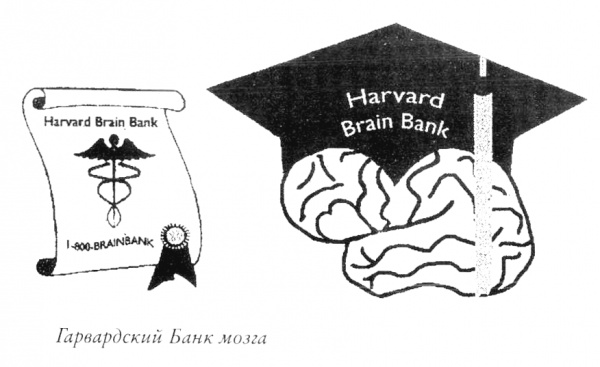 Иллюстрация к книге — Мой инсульт был мне наукой. История собственной болезни, рассказанная нейробиологом [_121356.jpg]