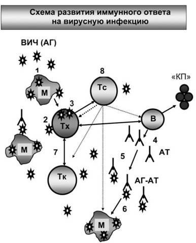 Иллюстрация к книге — Имя ему СПИД. Четвертый всадник Апокалипсиса [i_005.jpg]
