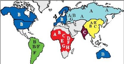 Иллюстрация к книге — Имя ему СПИД. Четвертый всадник Апокалипсиса [i_008.jpg]