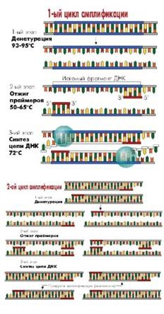 Иллюстрация к книге — Имя ему СПИД. Четвертый всадник Апокалипсиса [i_009.jpg]