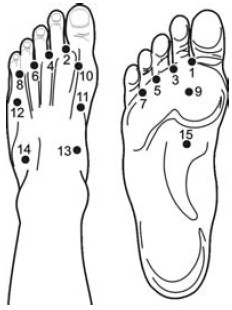 Иллюстрация к книге — Исцеление и профилактика сосудистых заболеваний. Учение Травинки [i_008.jpg]