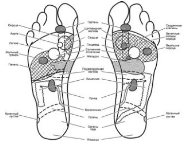 Иллюстрация к книге — Исцеление и профилактика сосудистых заболеваний. Учение Травинки [i_009.jpg]