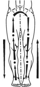 Иллюстрация к книге — Исцеление и профилактика сосудистых заболеваний. Учение Травинки [i_011.jpg]