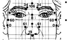 Иллюстрация к книге — Исцеление и профилактика сосудистых заболеваний. Учение Травинки [i_020.jpg]