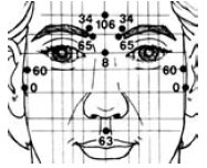 Иллюстрация к книге — Исцеление и профилактика сосудистых заболеваний. Учение Травинки [i_024.jpg]