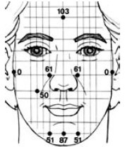 Иллюстрация к книге — Исцеление и профилактика сосудистых заболеваний. Учение Травинки [i_026.jpg]