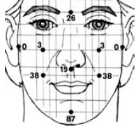 Иллюстрация к книге — Исцеление и профилактика сосудистых заболеваний. Учение Травинки [i_033.jpg]
